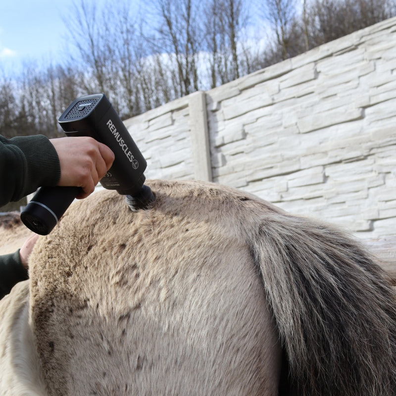 ReMuscles | Horse Gun Pro™