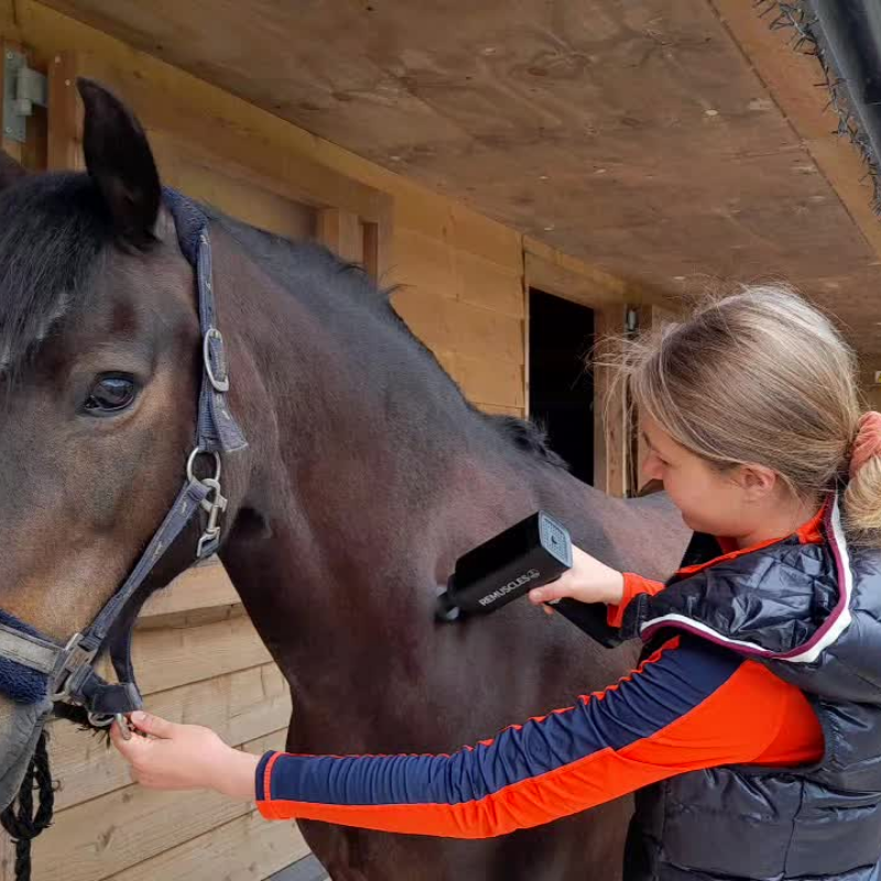 Horse Gun Pro Massagepistol för hästar