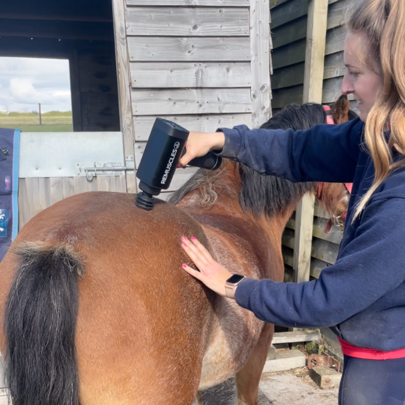 ReMuscles | Horse Gun Pro™