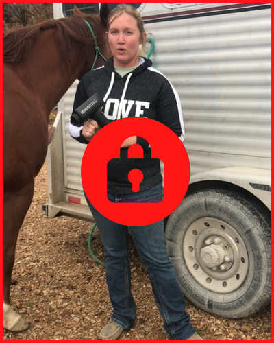 Videokurs "Hvordan du masserer hesten din med Horse Gun Pro"